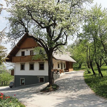 Farm Stay Dolinar Krainer Богиньська Бела Екстер'єр фото
