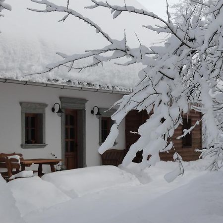 Farm Stay Dolinar Krainer Богиньська Бела Екстер'єр фото