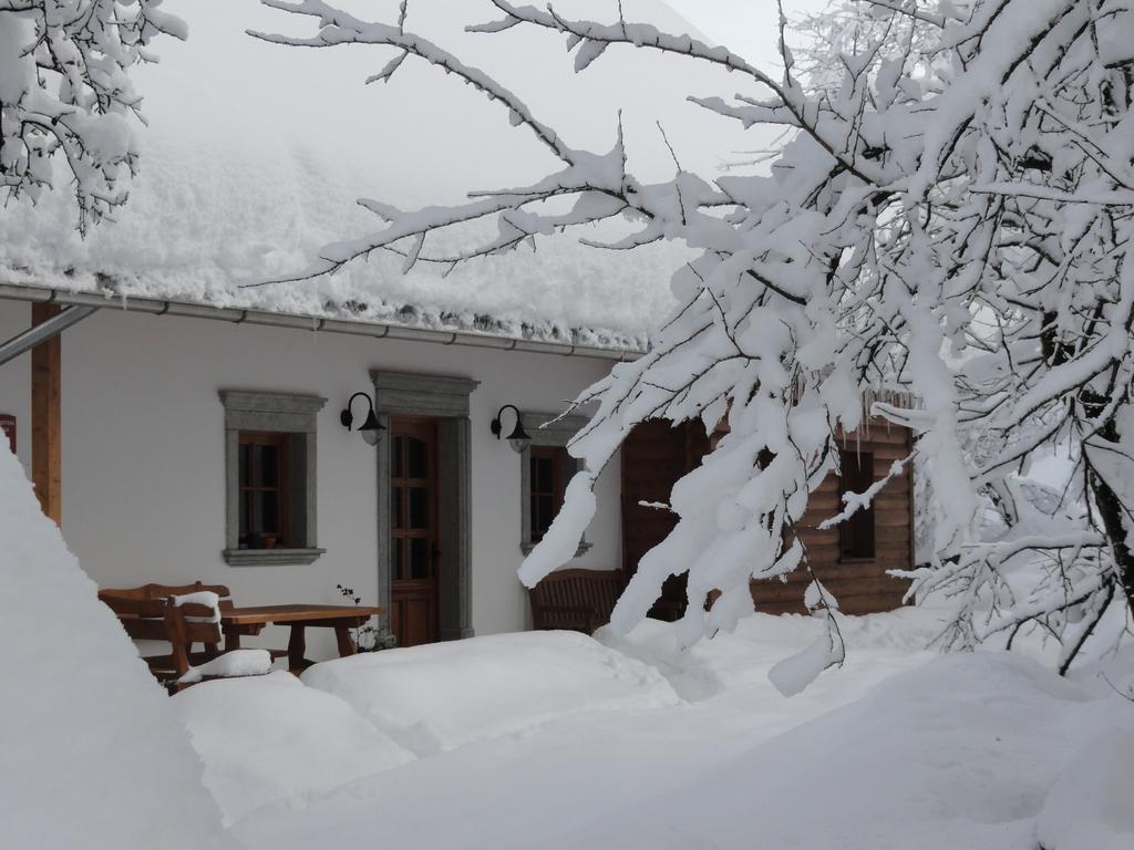 Farm Stay Dolinar Krainer Богиньська Бела Екстер'єр фото